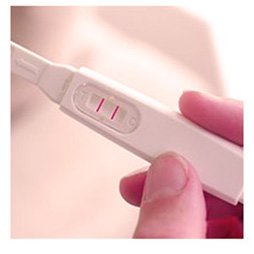Test Embarazo